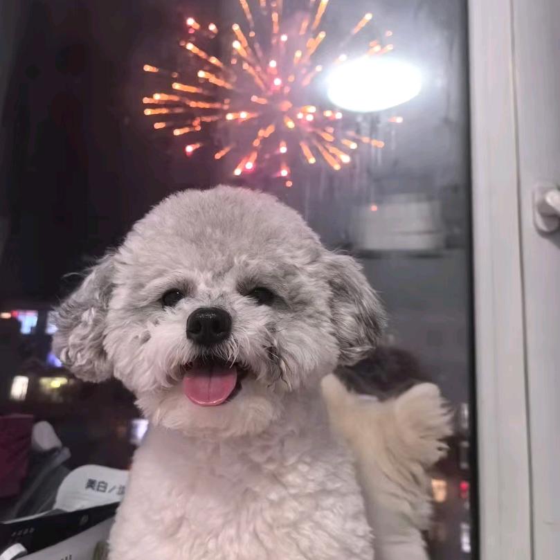 “钱儿来-