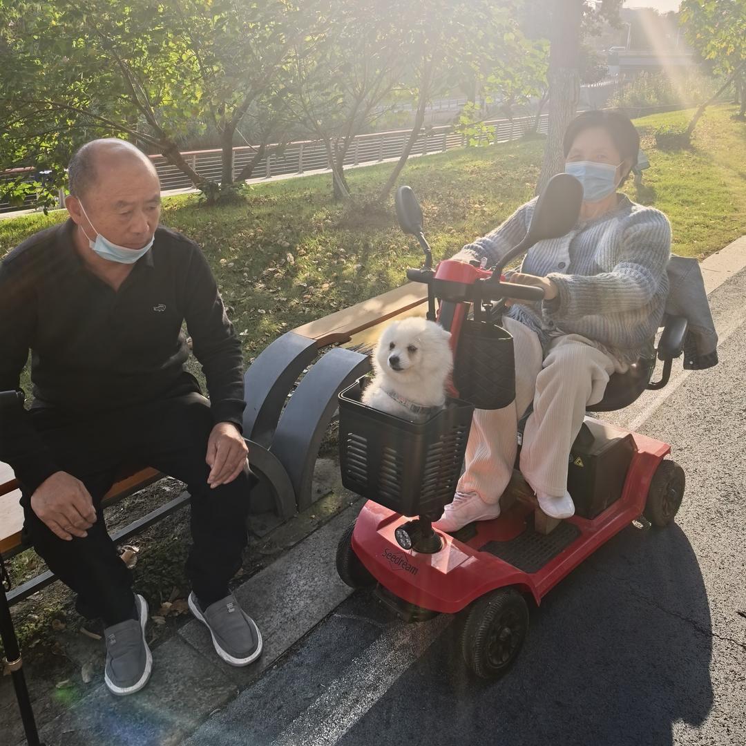 饭搭子，帕金森老头