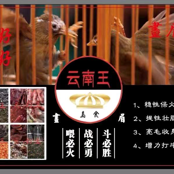 云南王鸟食