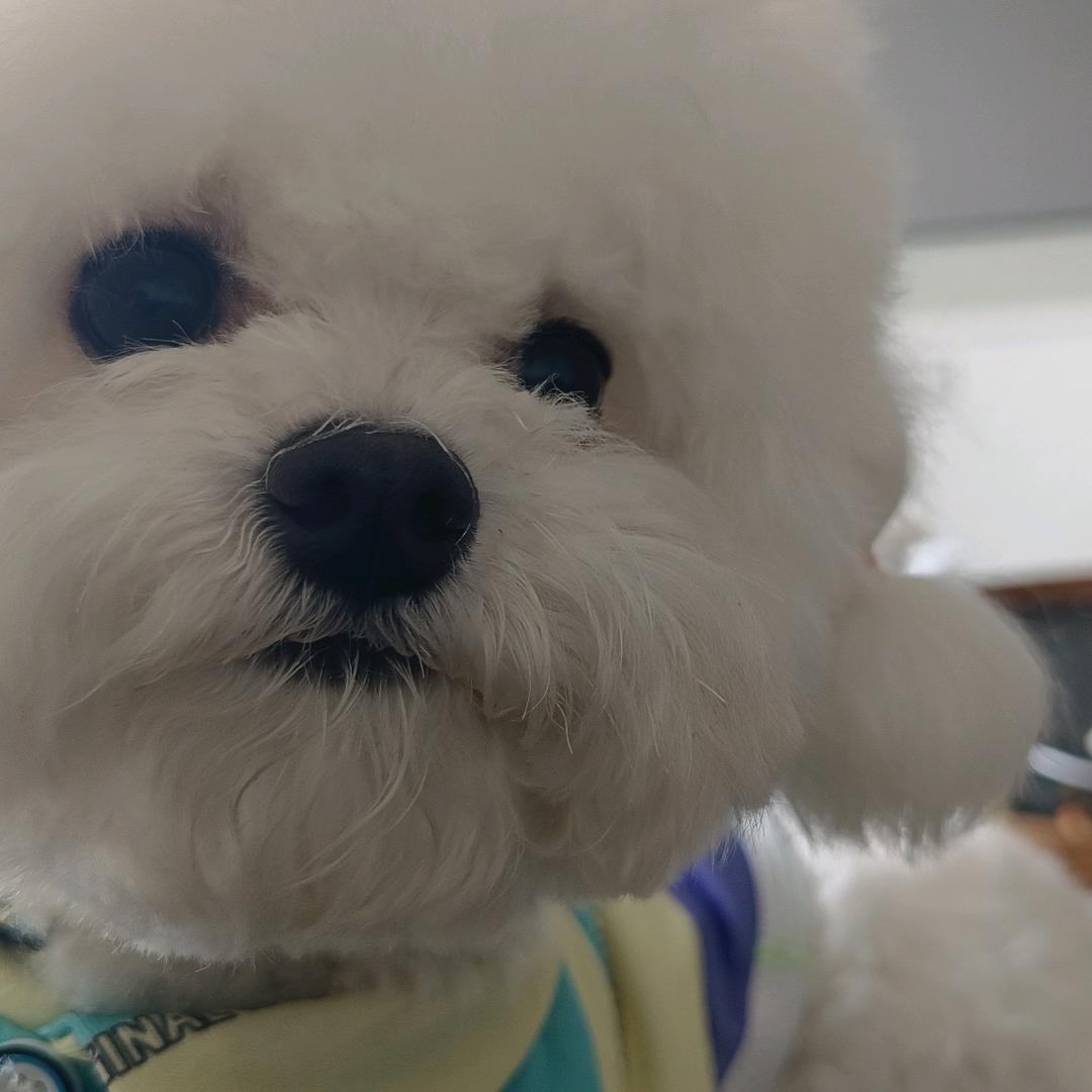 刘六六是我好朋友🐾