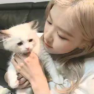 不做小困包(´∀`)