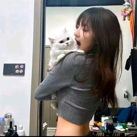 车里子.