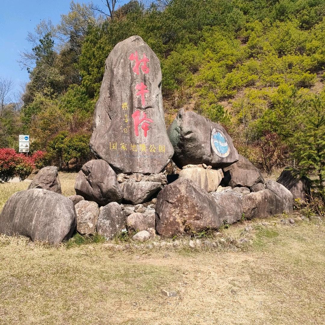 上善若水，（张氏）