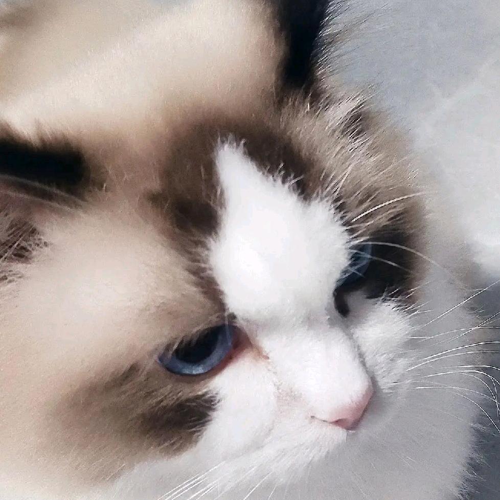 💗᭄㜂💞⃨孞ꦿ⁵²⁰