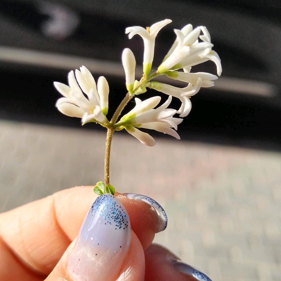 🍓💭 暖暖的幸福