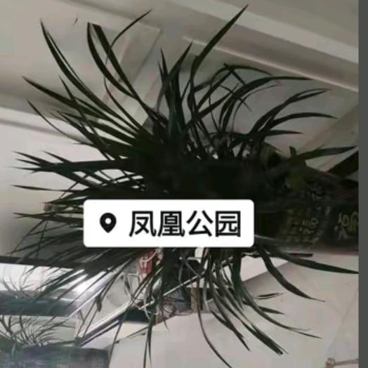爱就爱一辈子