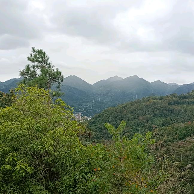 顺其自然