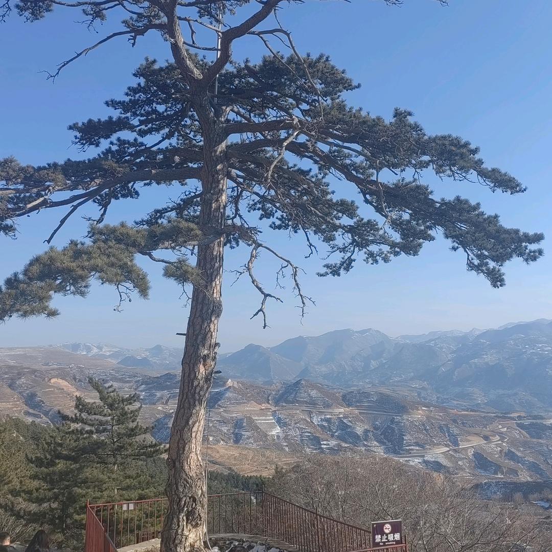 韩东