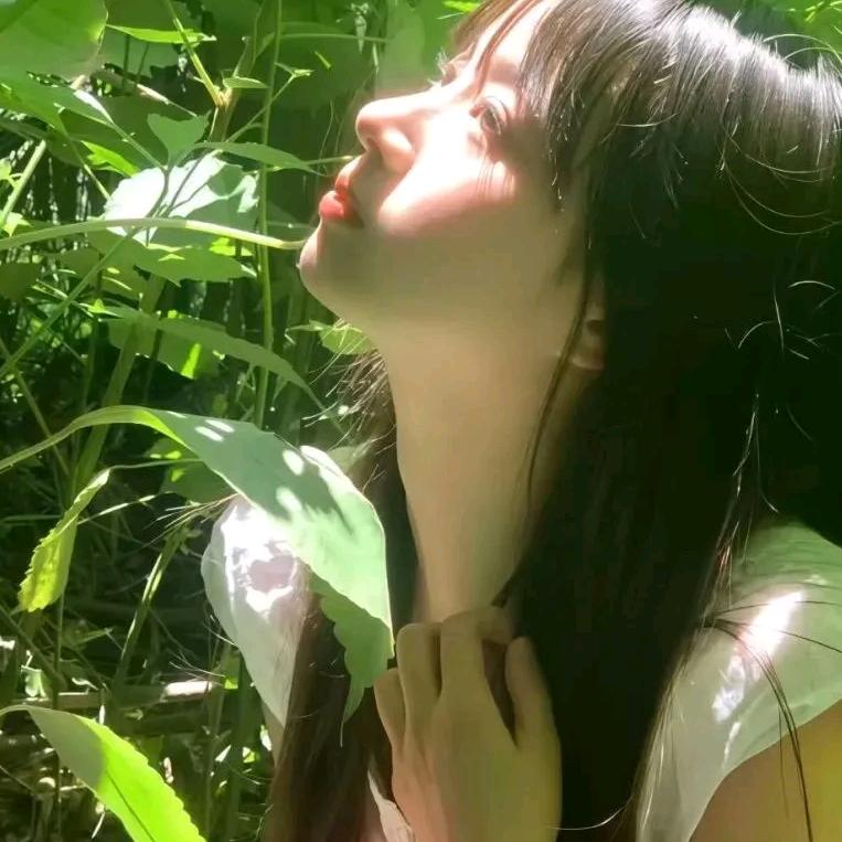 从你的世界路过