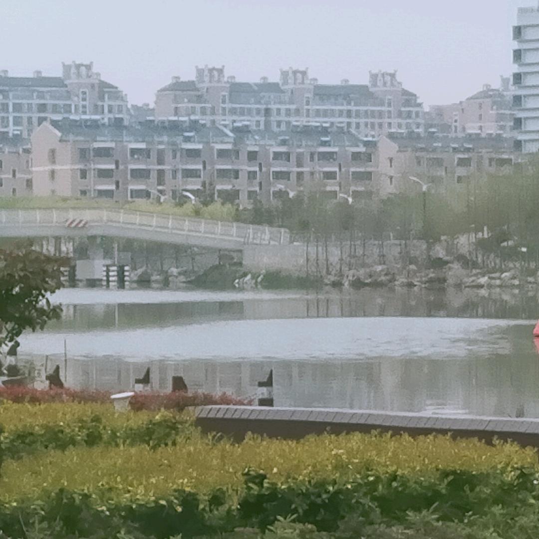 为生活而奔波
