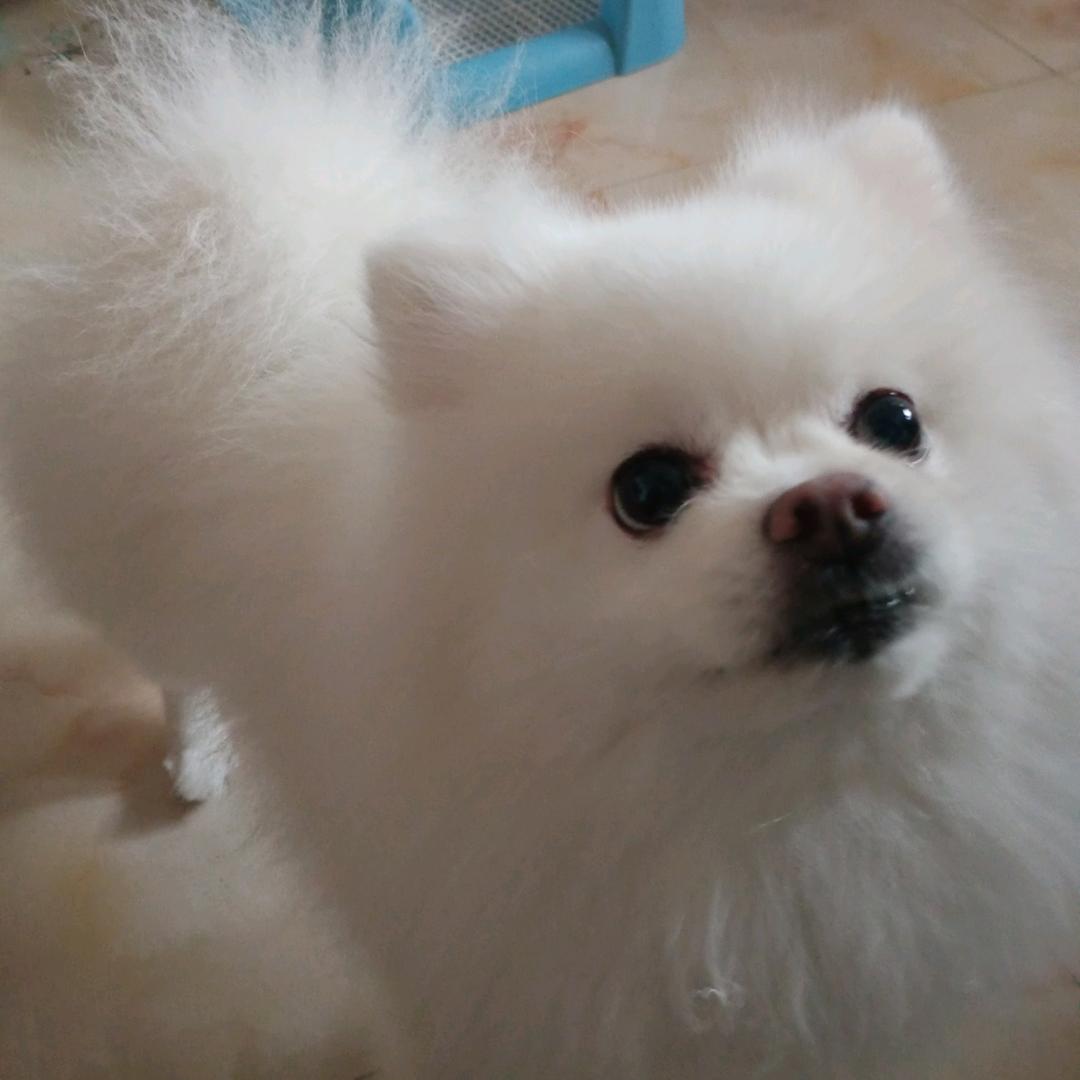 亮仔