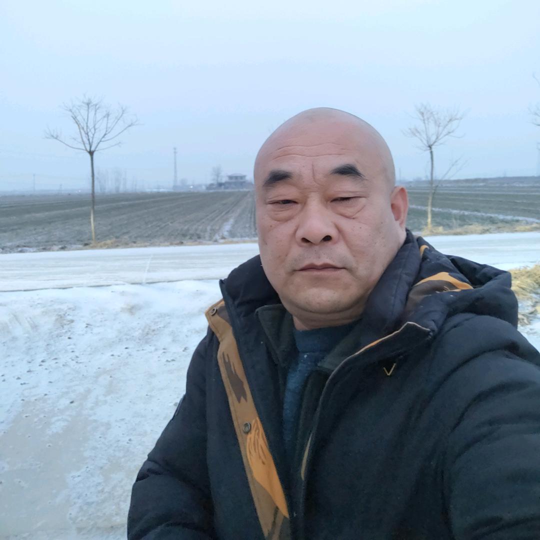 老段的日常