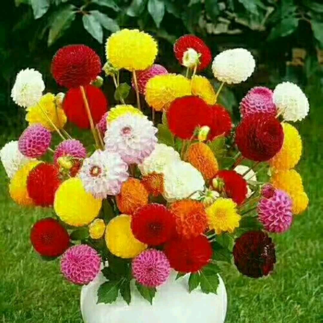 余生᭄🕊随心᭄ල᭄