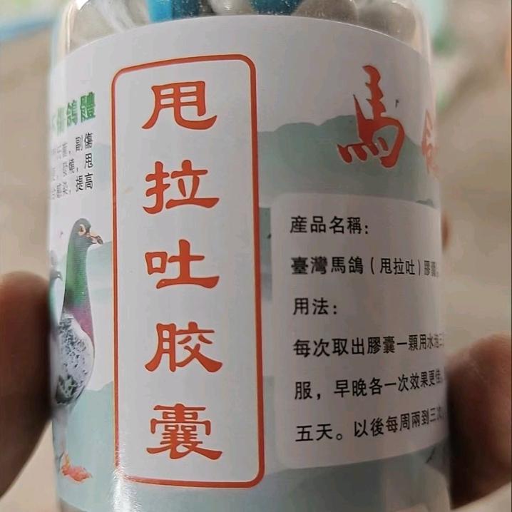 马氏鸽业