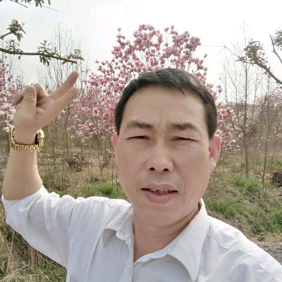 昊云海月