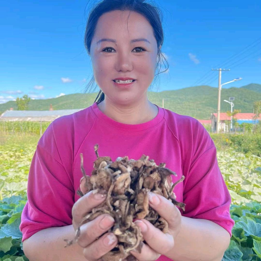 林区萍姐