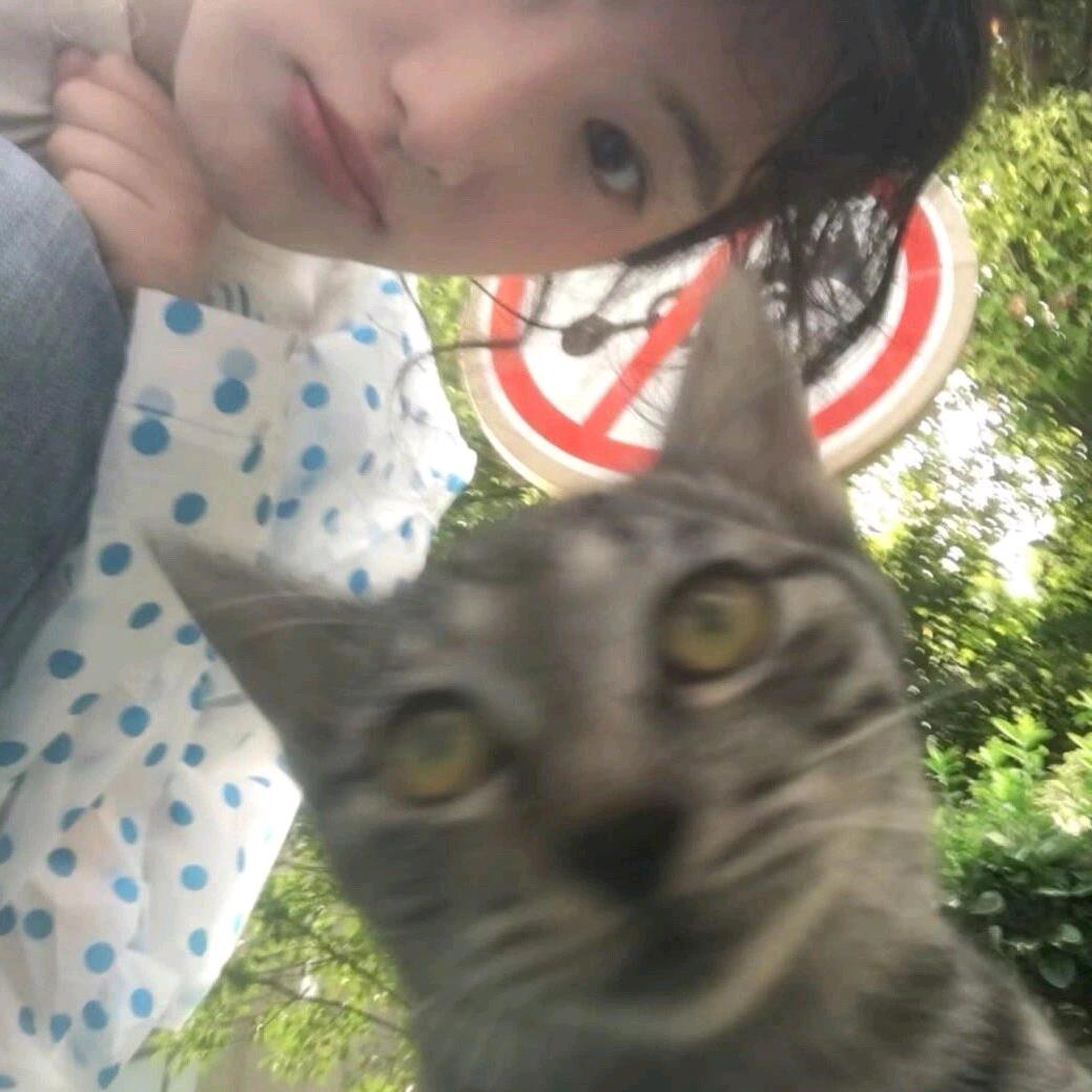 泡芙－