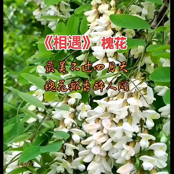一