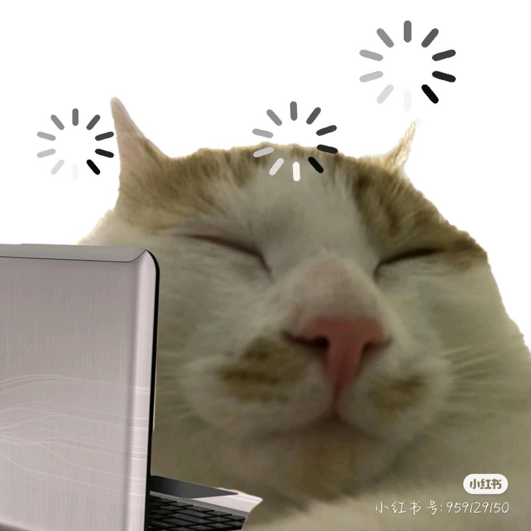 菠萝醋醋
