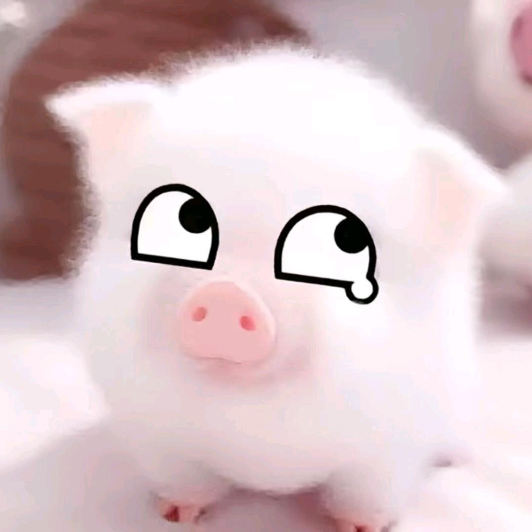 连理枝