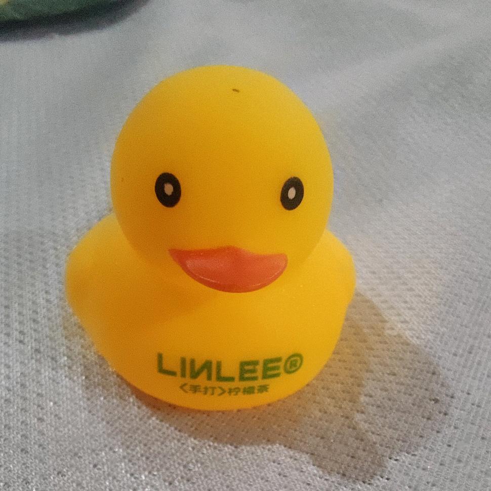 文网文文网文