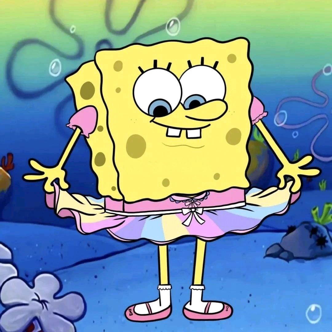 🧽百洁布精🧽