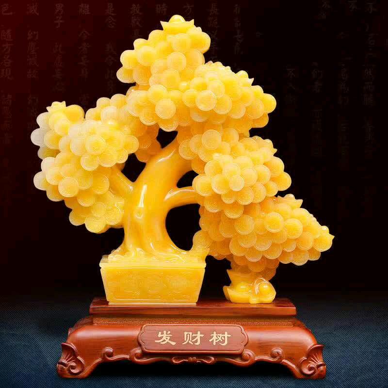 老杨