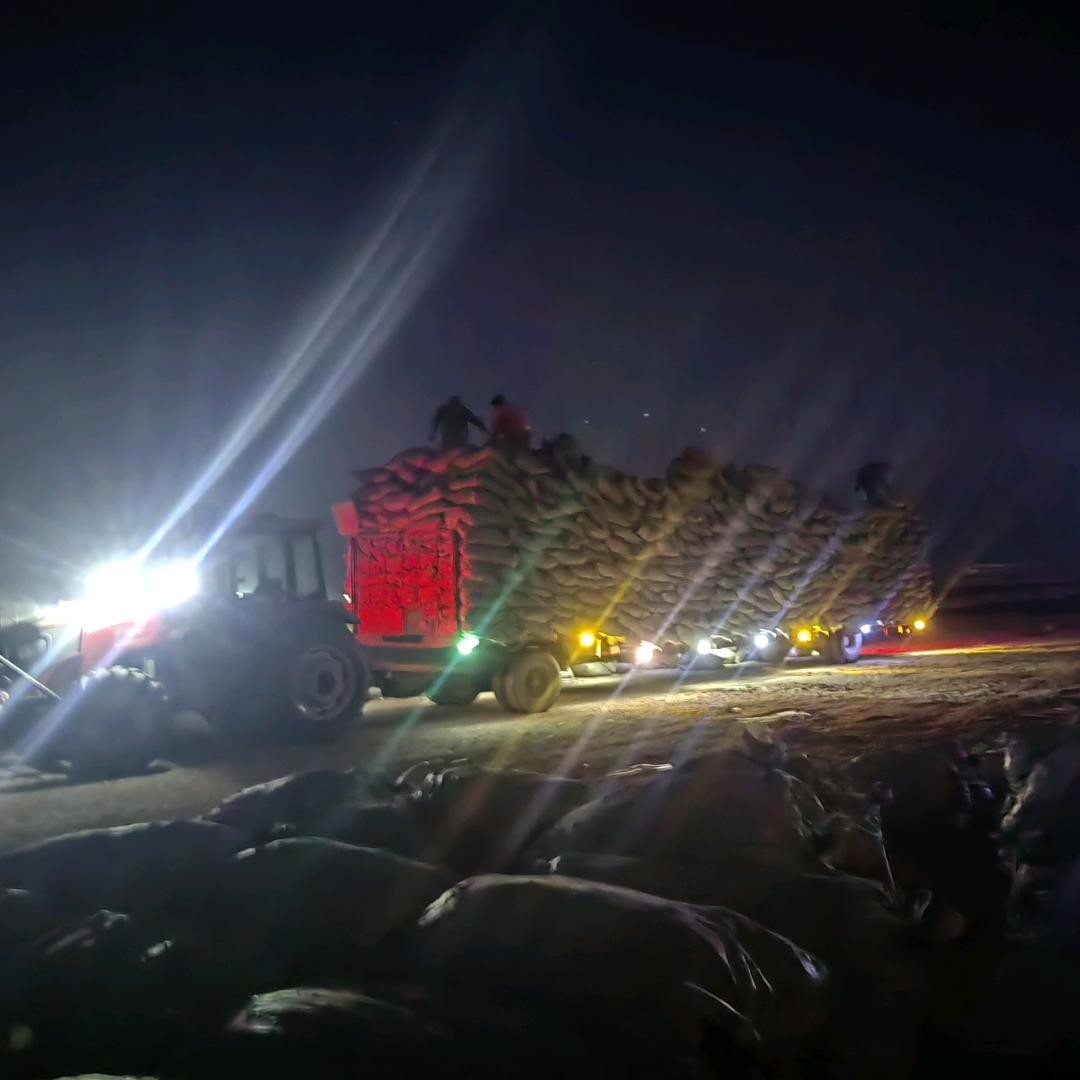 🐎烟火里的风景🍇🥦