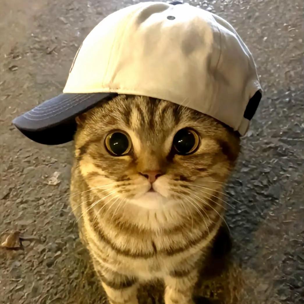 TA.