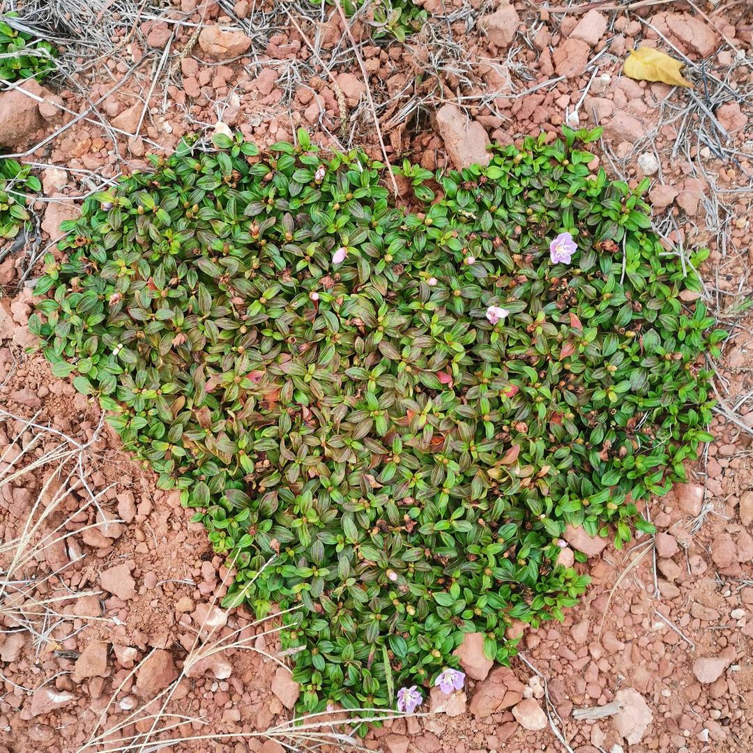 🦋এ᭄一🍒生ʚ💞有¹³¹⁴李⁵²⁰