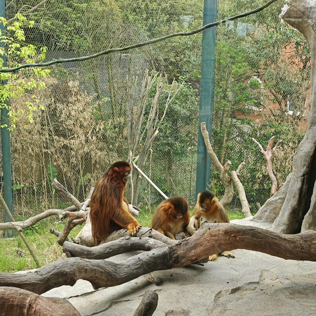 ₅₂₀💞࿐不何罗辑໑ຼ₀₂