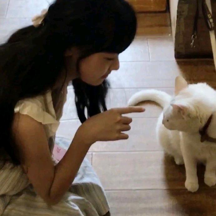 六六的好物日记