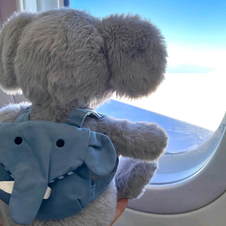 不喝奶茶爱喝茶