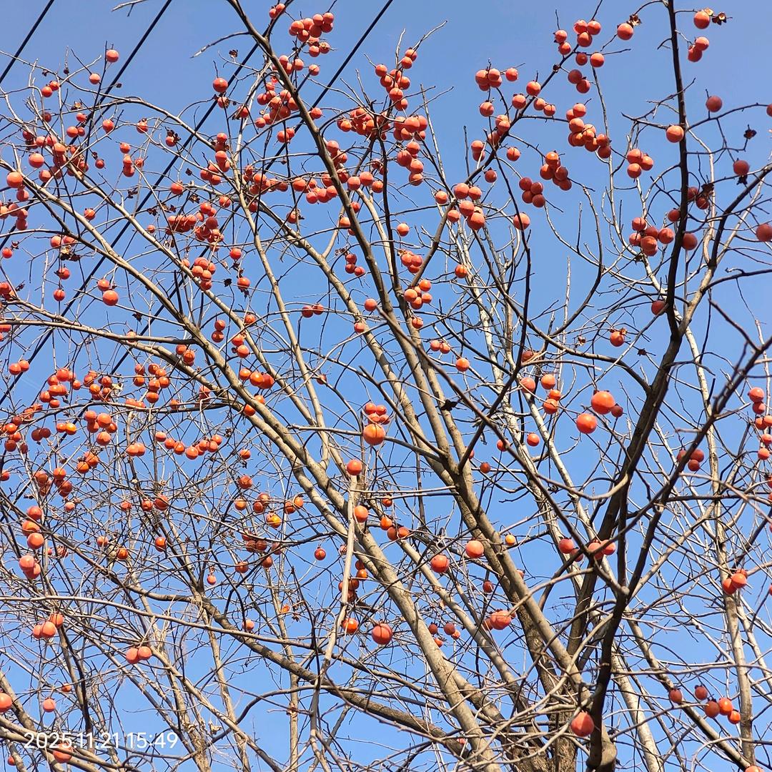 简单+快乐=幸福