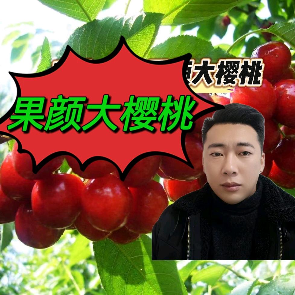 果颜大樱桃（苹果祛锈）