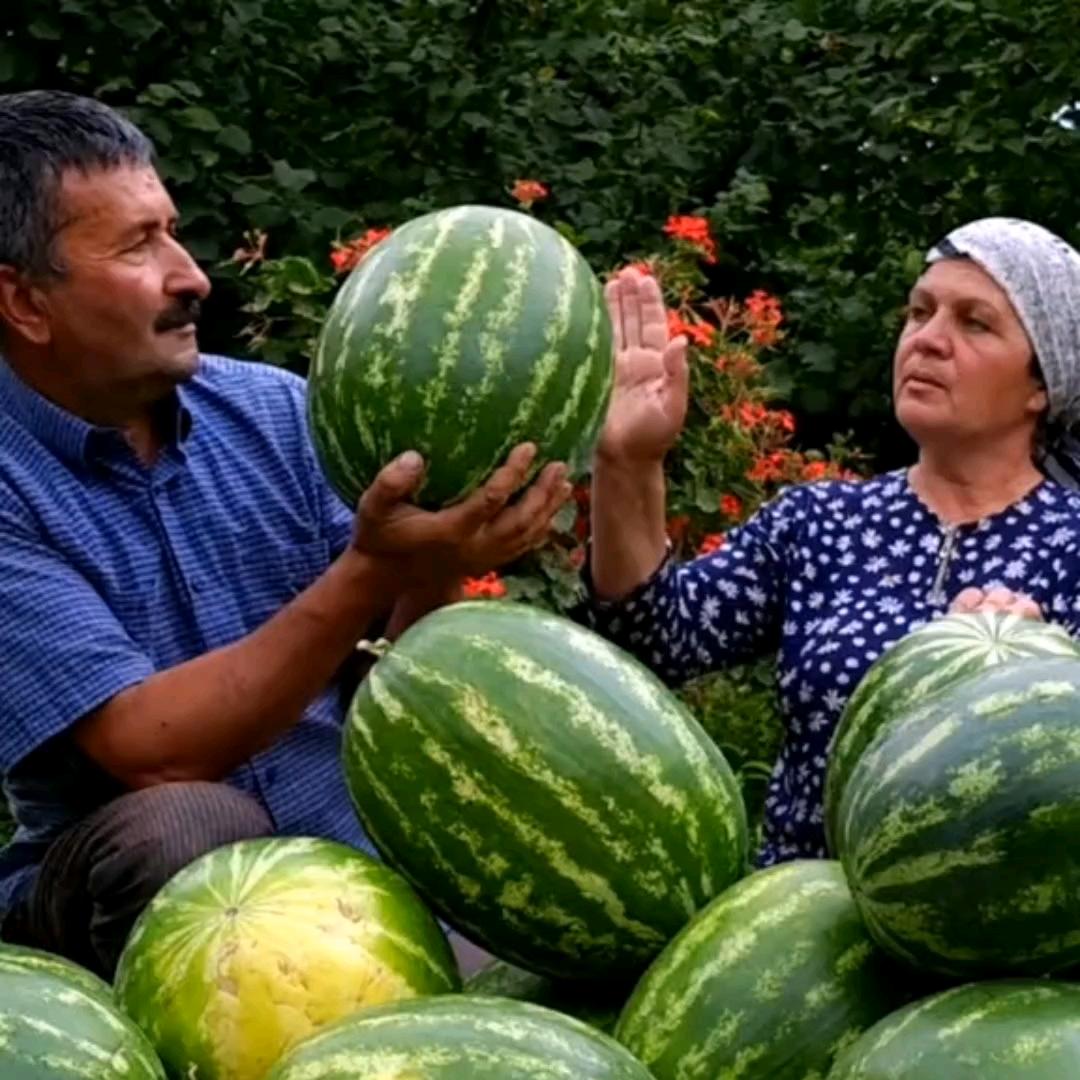 外国朋友的生活