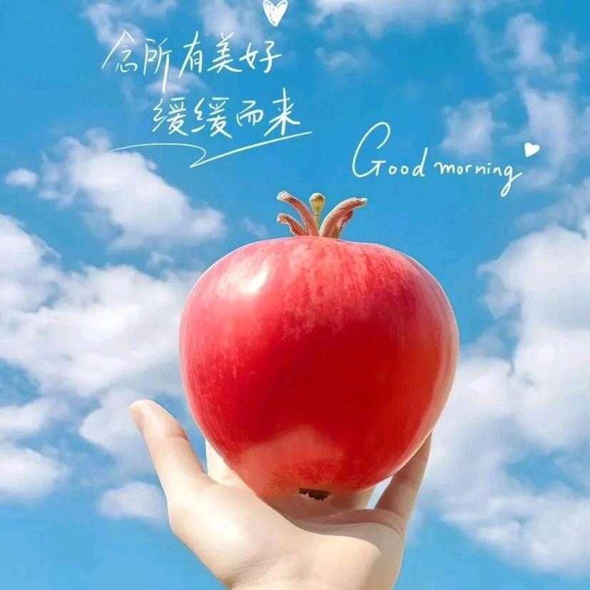 奋斗中的女人