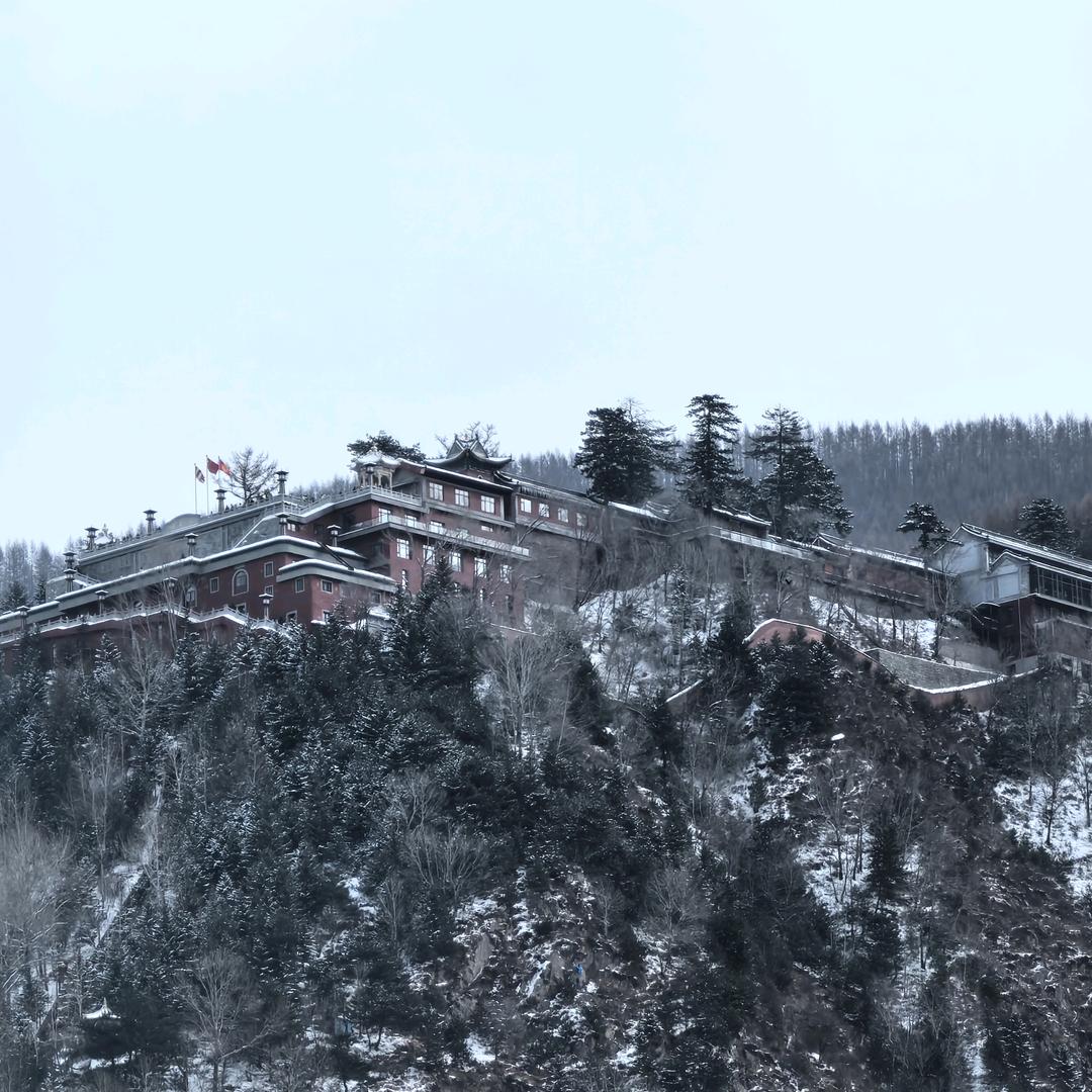 你想怎么招