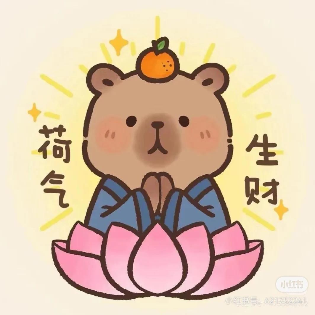 开心的开心花甲