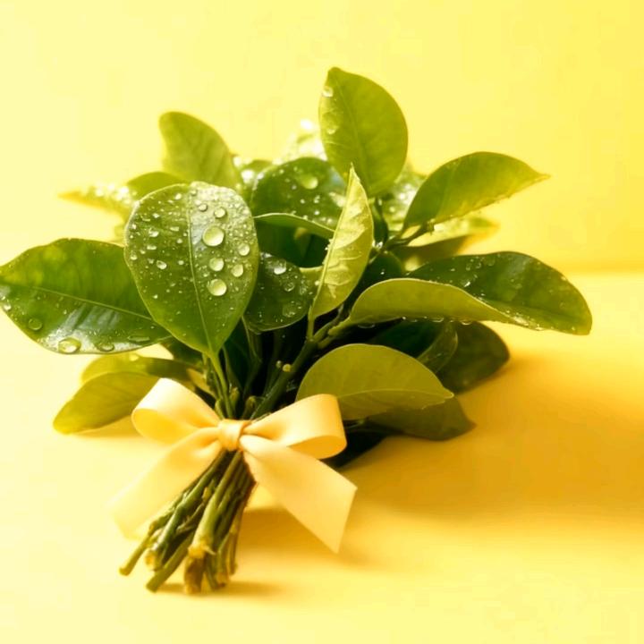 沁瑜