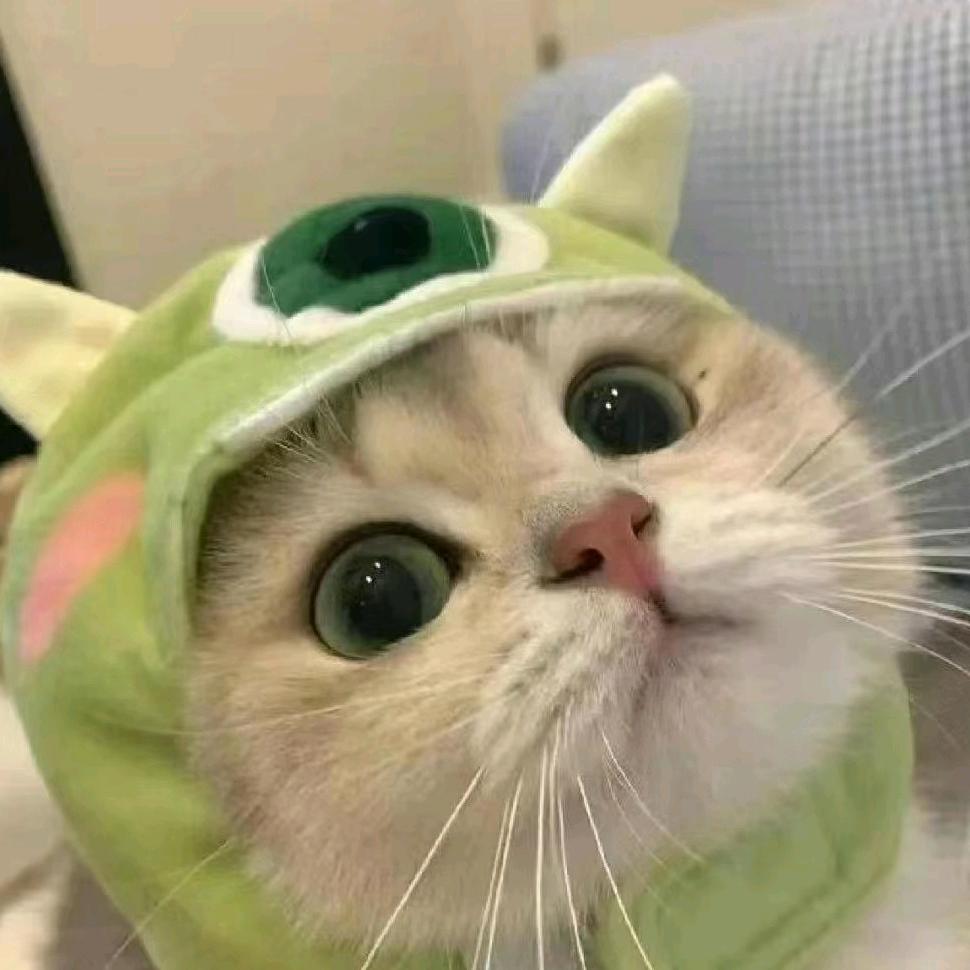 楠楠小宝🎃
