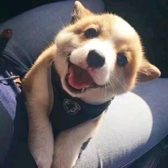 🌈🌈🌈晚安😏