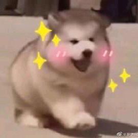 爱睡觉