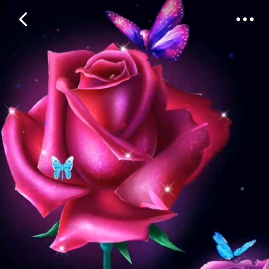 牡丹🌺🌺
