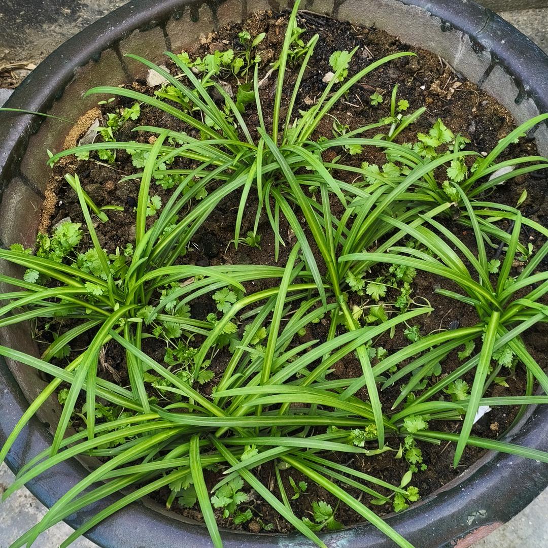 ໑ღ᭄岁月偷走了青春🕊꧔ꦿ᭄💞