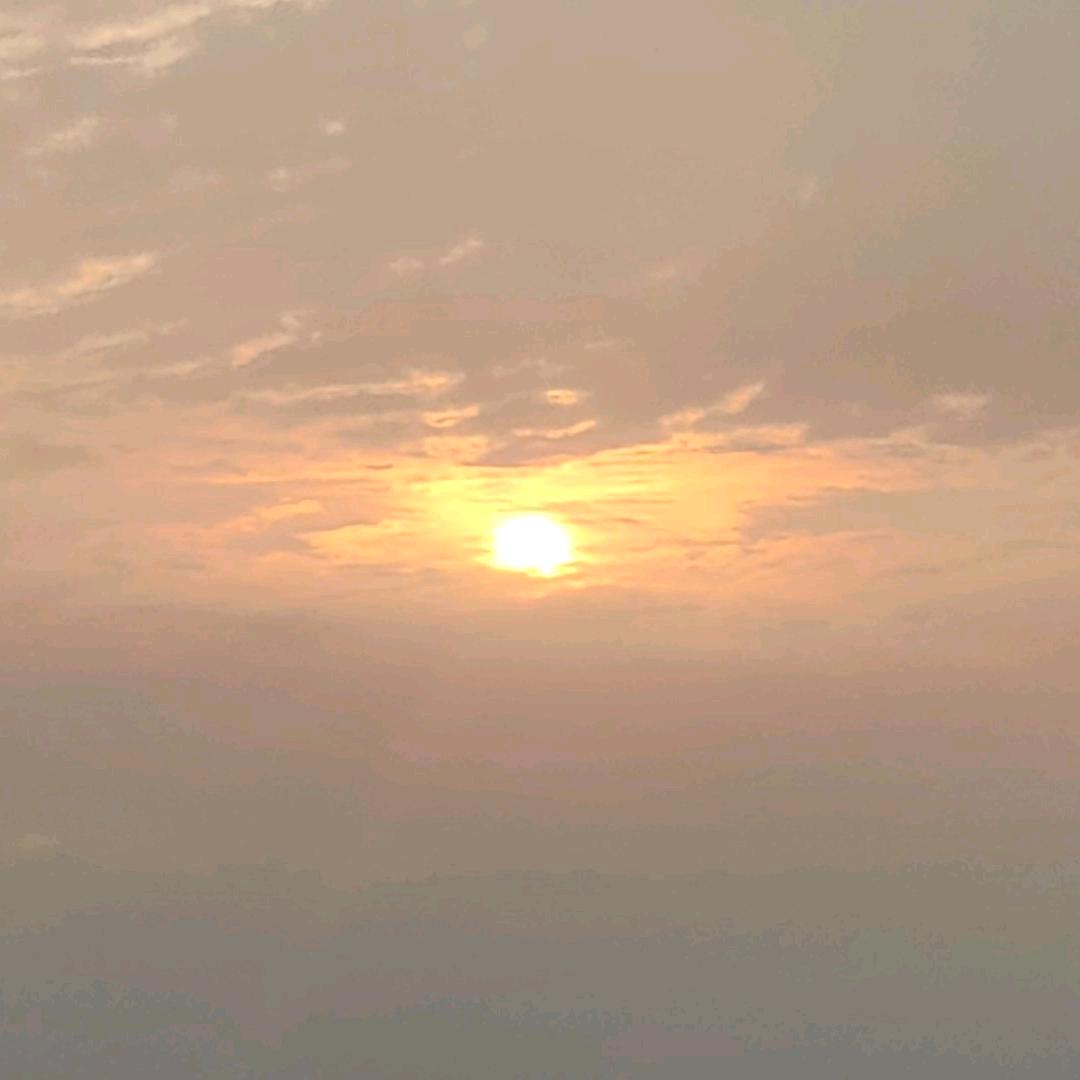 清1_1