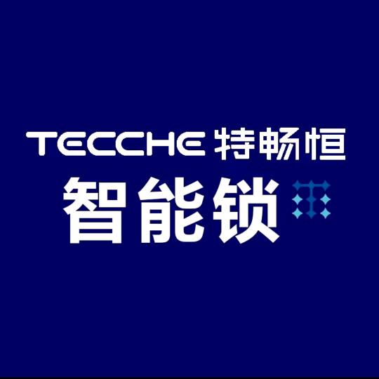 特畅恒·智能锁(淮上店)专用号