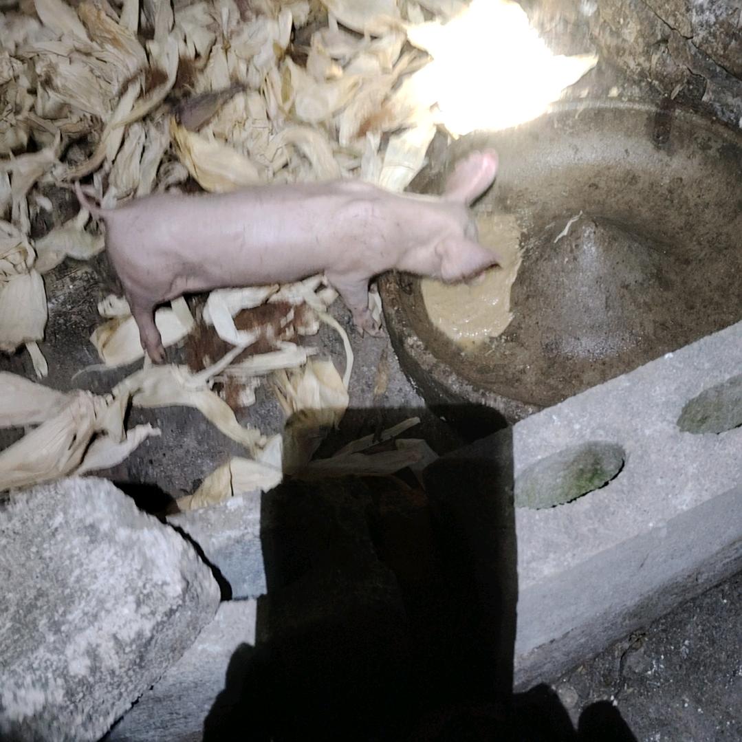 （628）