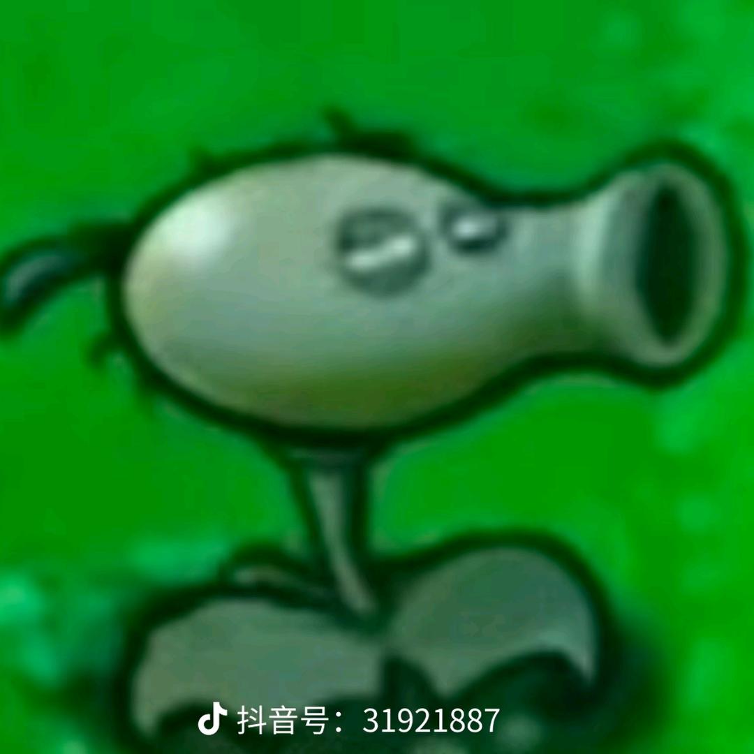 哈拉超