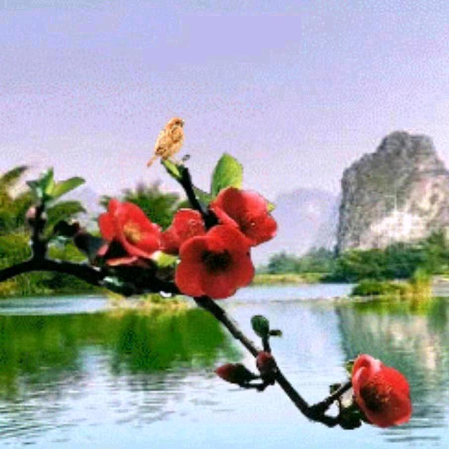 梦中的我